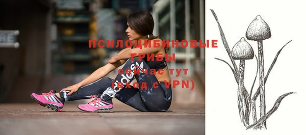 гидра Верхний Тагил