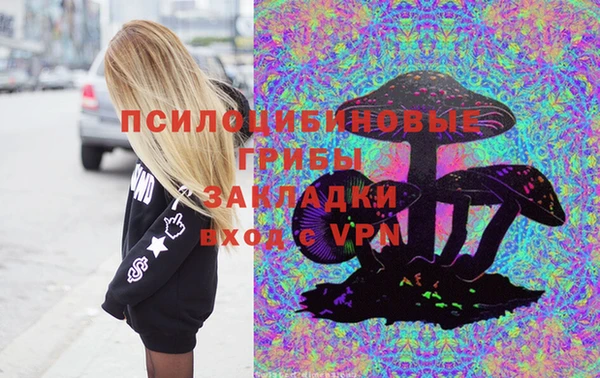 spice Володарск