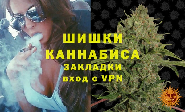 гидра Верхний Тагил