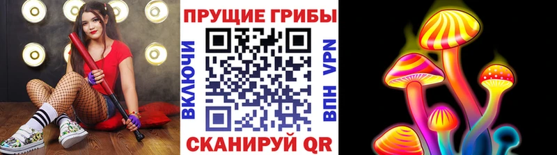 Галлюциногенные грибы мицелий  Купить закладки  Карачаевск 